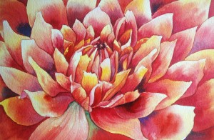 Study of Jamie's Dahlia, 8x11, watercolor, ©2012 Helen Klebesadel