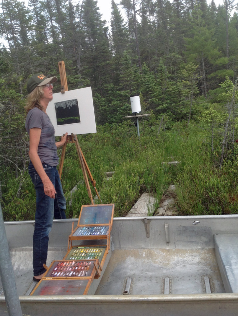 Terry Daulton drawing plein air with pastel o a beautiful day at  at Crystal Bog.